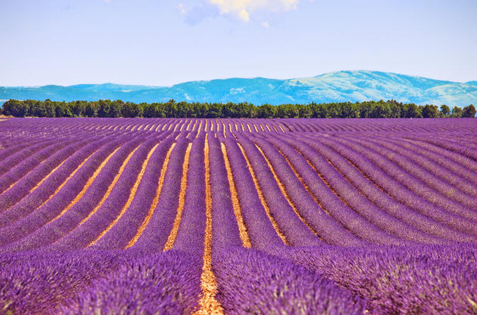 [Titre du site] La Provence, une région aux multiples facettes...